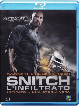 Snitch - L'infiltrato (2013)