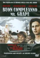 Buon compleanno Mr. Grape (1993)