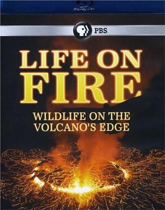 Life on Fire - Wildlife on the Volcanos Edge (2 Blu-rays)