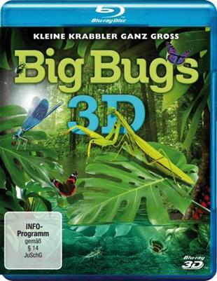 Big Bugs - Kleine Krabbler ganz gross