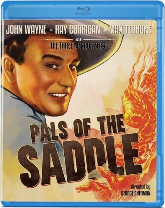 Pals of the Saddle (1938) (s/w)