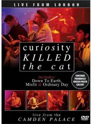 Curiosity Killed The Cat - Live from London