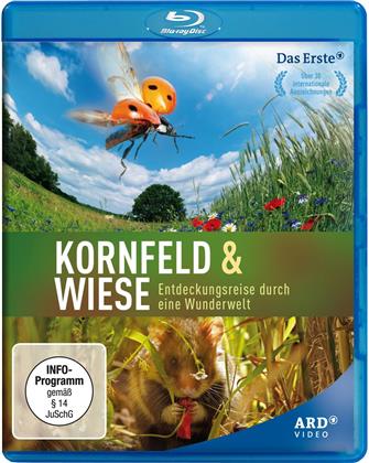 Kornfeld & Wiese - Entdeckungsreise durch eine Wunderwelt
