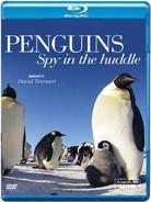 Penguins - Spy in the Huddle