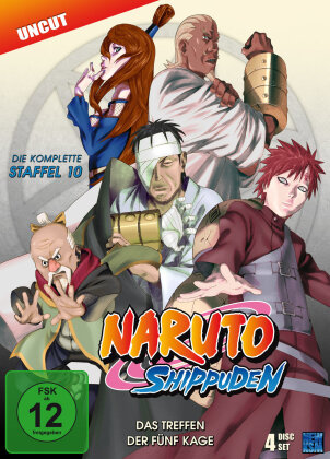 Naruto Shippuden - Staffel 10 (4 DVDs)