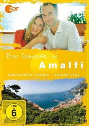 Ein Sommer in Amalfi (2013)