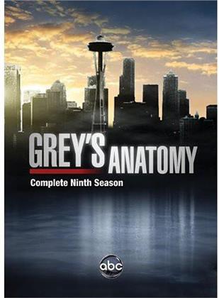 Grey's Anatomy - Season 9 (6 DVDs)