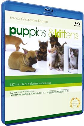 Puppies & Kittens (Édition Collector, Édition Spéciale)