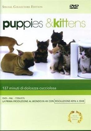Puppies & Kittens (Édition Spéciale Collector)