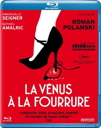La Vénus à la fourrure (2013)
