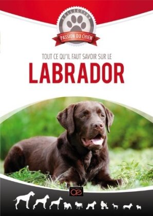 Tout ce qu'il faut savoir sur le Labrador (Collection passion du chien)