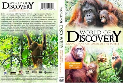 Orangutans - Children Of The Forest