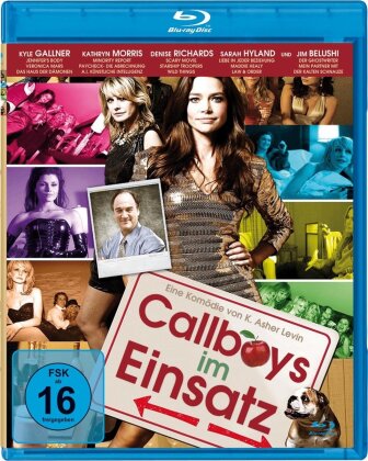 Callboys im Einsatz (2011)