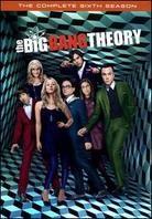 The Big Bang Theory - Season 6 (3 DVDs)