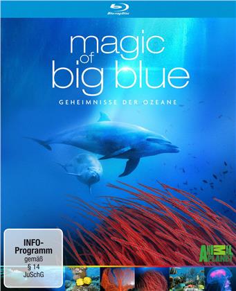 Magic of Big Blue - Die komplette Serie (3 Blu-ray)