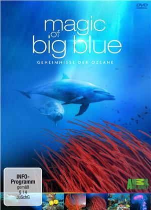 Magic of Big Blue - Die komplette Serie (3 DVD)