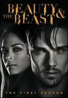 Beauty & the Beast - Season 1 (2012) (6 DVDs)
