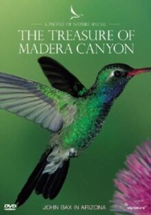 A Profile of Nature Special - The Treasure of Madera Canyon