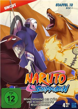 Naruto Shippuden - Staffel 12 - Box 1 (4 DVDs)