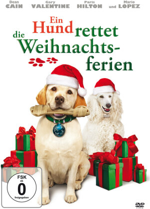 Ein Hund rettet die Weihnachtsferien - The Dog who saved Christmas Vacation (2010)