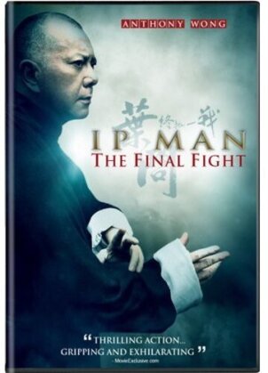 IP Man - The Final Fight (2013)