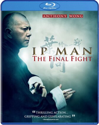 IP Man - The Final Fight (2013)