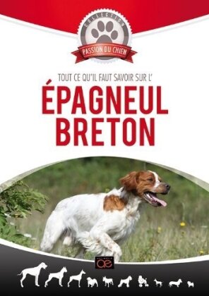 Tout ce qu'il faut savoir sur l'epagneul breton (Collection passion du chien)