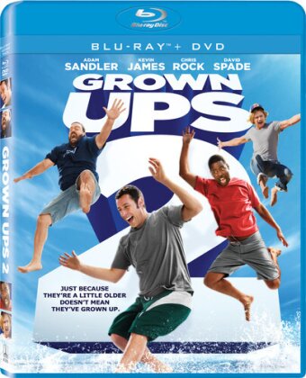 Grown Ups 2 (2013) (Blu-ray + DVD)
