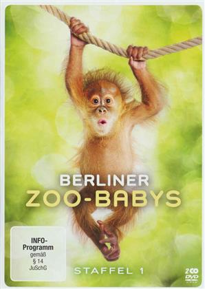 Berliner Zoo-Babys - Staffel 1 (2 DVDs)