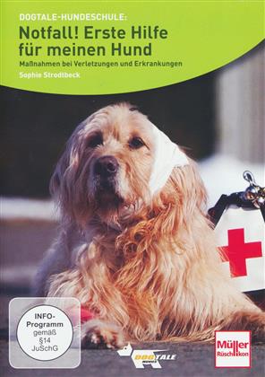 Notfall - Erste Hilfe für meinen Hund