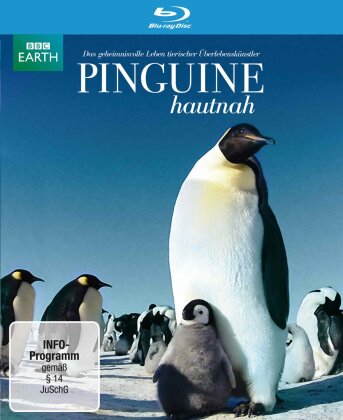Pinguine hautnah (BBC Earth)