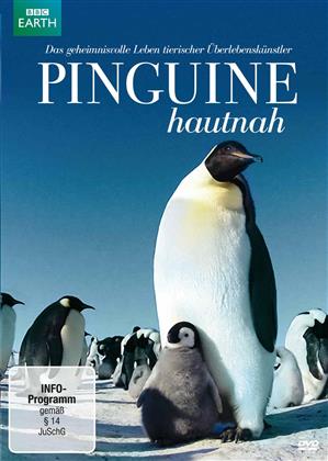 Pinguine hautnah (BBC Earth)
