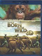 Born to be wild (2011)