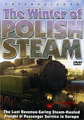The Winter of Polish Steam