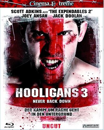 Hooligans 3 - Never Back Down (2013) (Cinema Extreme - Uncut)