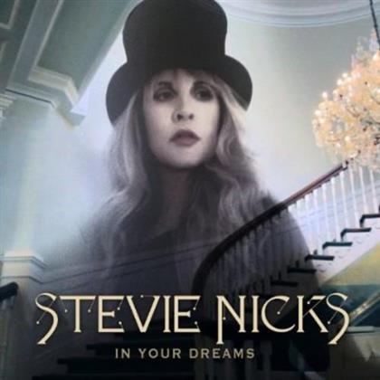 Stevie Nicks (Fleetwood Mac) - In Your Dreams (Inofficial, 2 DVDs)