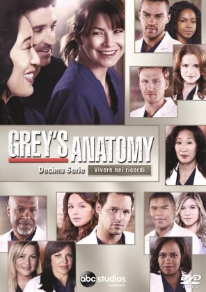 Grey's Anatomy - Stagione 10 (6 DVDs)