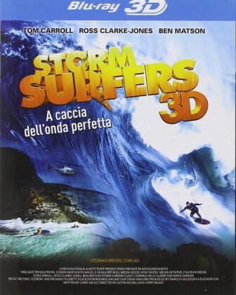 Storm Surfers (2012)