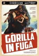 Gorilla in fuga - Gorilla at Large (Cineclub Mistery) (1954)