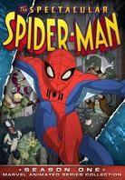 The Spectacular Spider-Man - Staffel 1 (2 DVD)