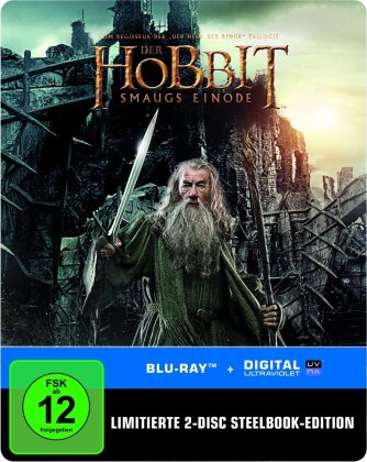 Der Hobbit 2 - Smaugs Einöde (2013) (Steelbook, 2 Blu-rays)