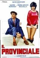 Il provinciale