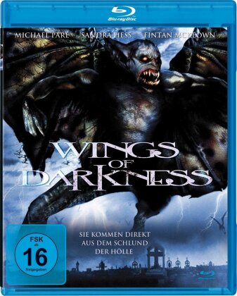 Wings of Darkness (2004)