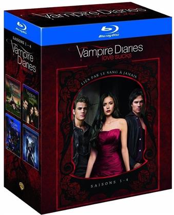 Vampire Diaries - Saisons 1-4 (17 Blu-rays)