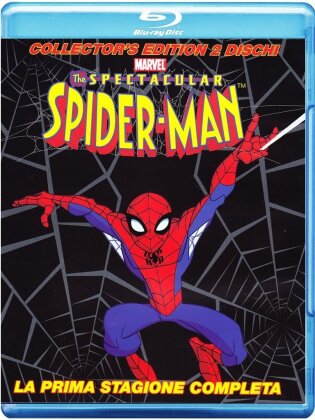 The Spectacular Spider-Man - Stagione 1 (Édition Collector, 2 Blu-ray)