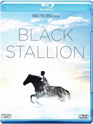 Black Stallion (1979)