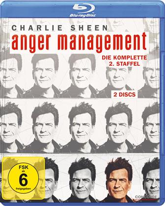 Anger Management - Staffel 2 (2 Blu-rays)