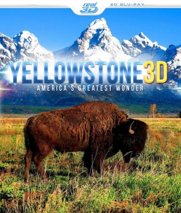 Yellowstone (2013)