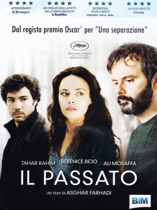 Il passato (2013)