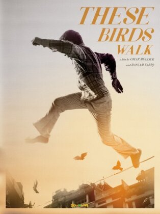 These Birds Walk (2013)